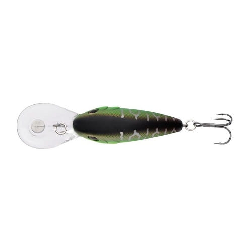 /environment/cache/images/productGfx_72613_700_700/Berkley-Dredger-Mat-Tiger.1.jpg