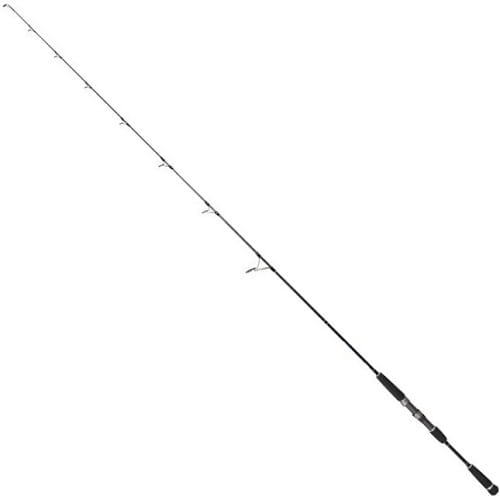 Wędka DRAGON X-TREME HD Spin 1.98cm 100-300g.jpg