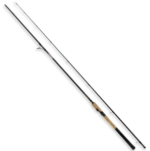 Canne Robinson Big Mama 2.40m 14-56g