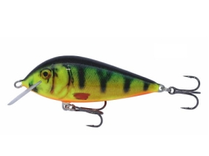 Wobler Kenart Bass 7 NPX