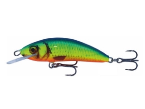 Kenart Winner 6 NRX Wobbler