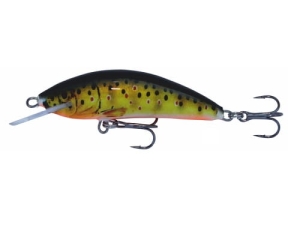 Wobler Kenart Winner 4 T