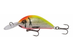 Wobbler Kenart Shark 4 YR