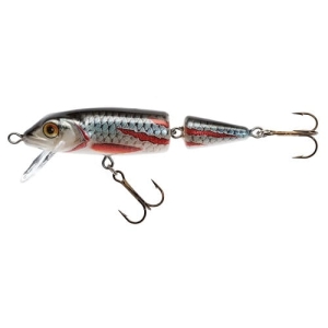 Jaxon Wobler HS Horn QM 7cm F KSN