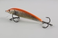 20220308_121708.jpg