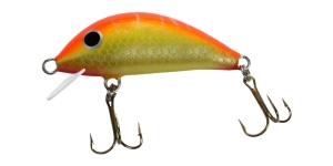 Gloog Hektor 40 SR Couleur TOF F