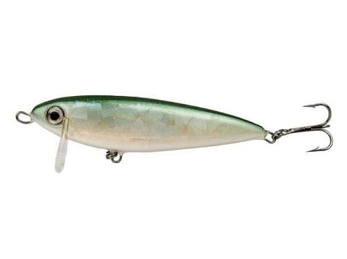 Hunter Bolt OL.jpg