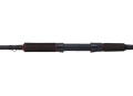 Abu Garcia BEAST Pike Spin2cz1.jpg