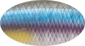 BABY BUSTER 10cm 25g Slow Sinking A210-SBO