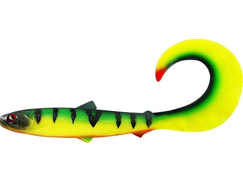 BullTeez Curltail Tiger Perch.jpeg