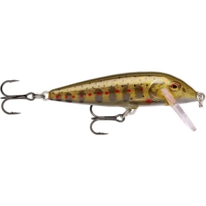 RAPALA Compte à rebours 3cm CD03 GJTR