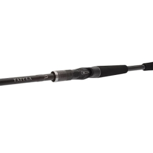 Daiwa Tatula XT Canne Baitcast 2,08m 5-21g 2pcs Moulage