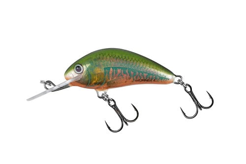 SALMO HORNET 4cm 3g Holo Oikawa FL.jpg