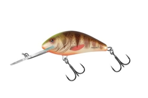 SALMO HORNET 6cm 10g Perche brune tachetée FL