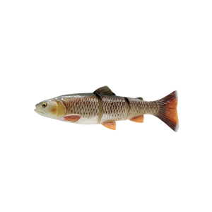 SG 4D Linethru Trout 40cm 712g S Brème