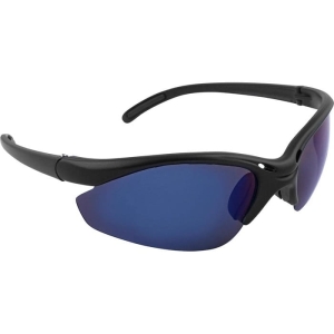 Lunettes polarisées DRAGON