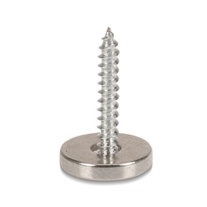 IRON CLAW Vis de montage pour stinger magnétique 5pcs