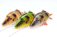4D LINE THRU PERCH