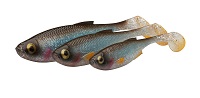 CRAFT SHAD