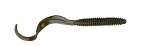 RIB WORM
