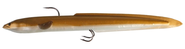 REAL EEL SLUG
